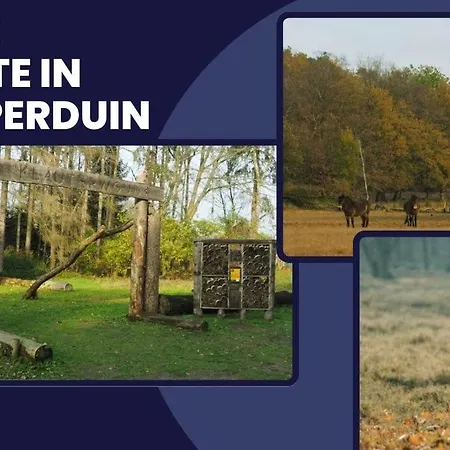 Bed & Coffee In Historic Weaving Mill 3* Oss