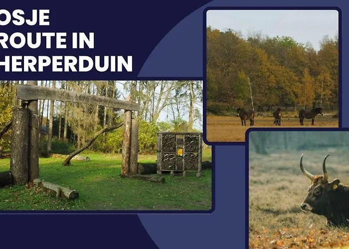 Bed & Coffee Historic Weaving Mill * Oss